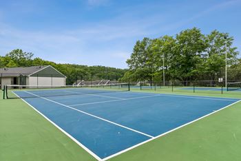 Tennis/pickleball court
